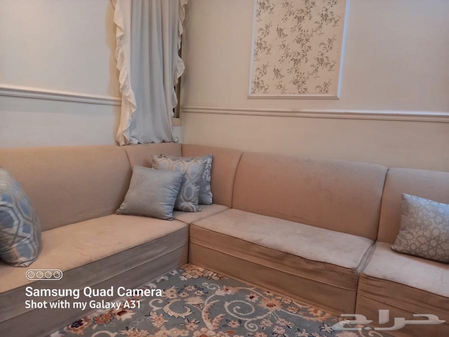 Floor seating with star and Turkish carpet64401271676163112