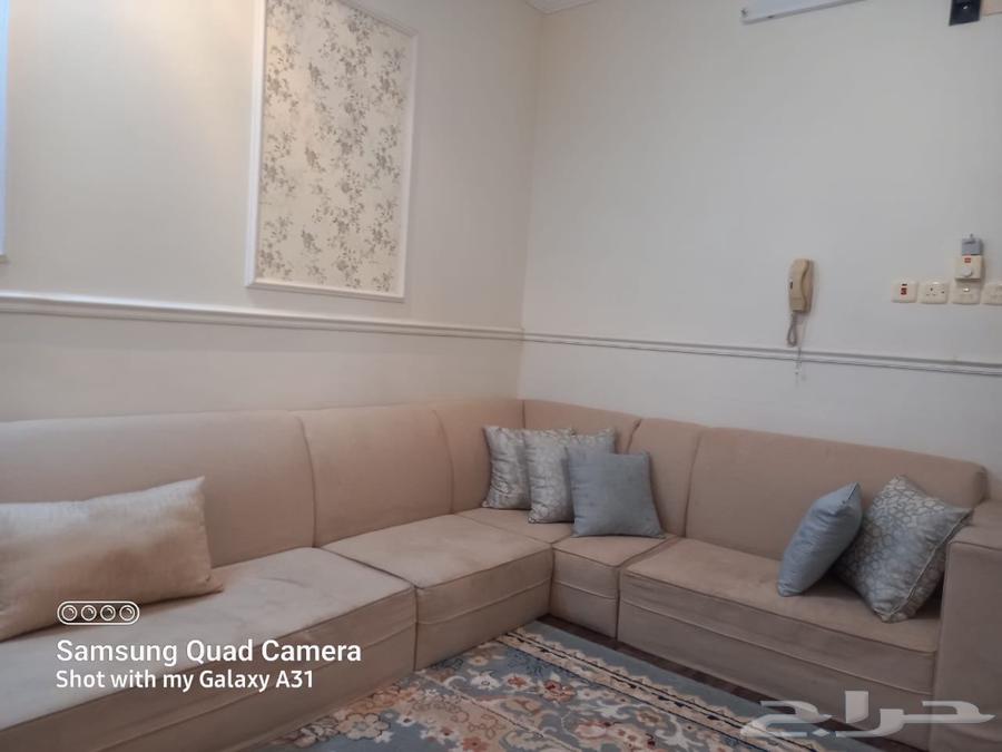 Floor seating with star and Turkish carpet64401271676163111