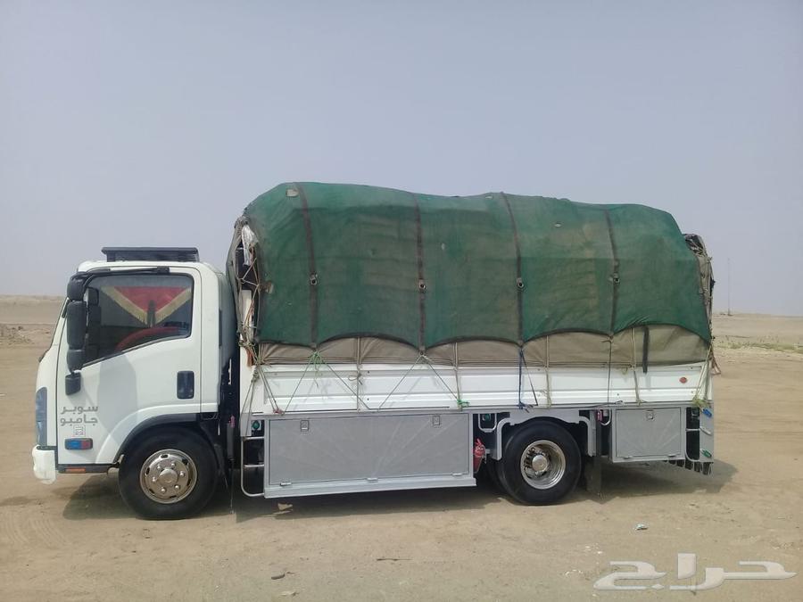 Dina Furniture Moving63617821879809110