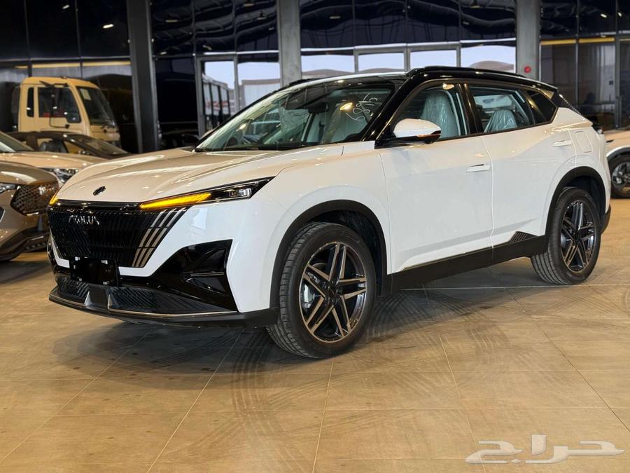 دونج فينج ميج فل كامل 2025 عرض خاص64545644685443110