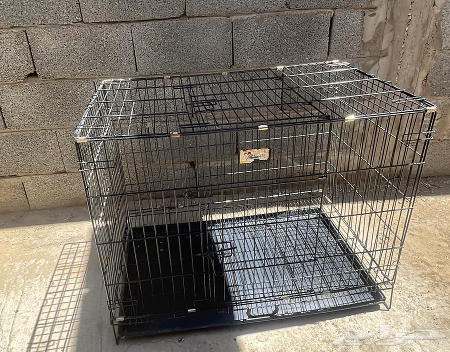 شبك قطط او كلاب64393610337537110