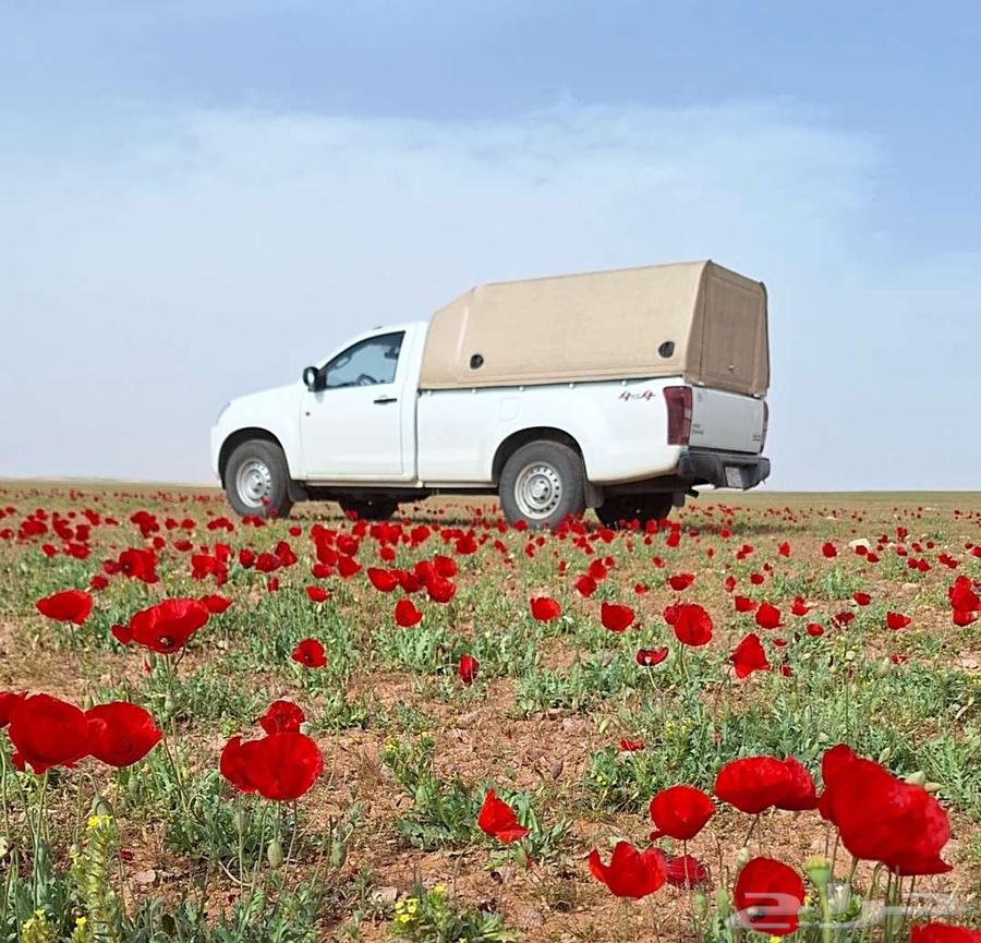 For sale Isuzu 2022 double cab diesel64545941749377112