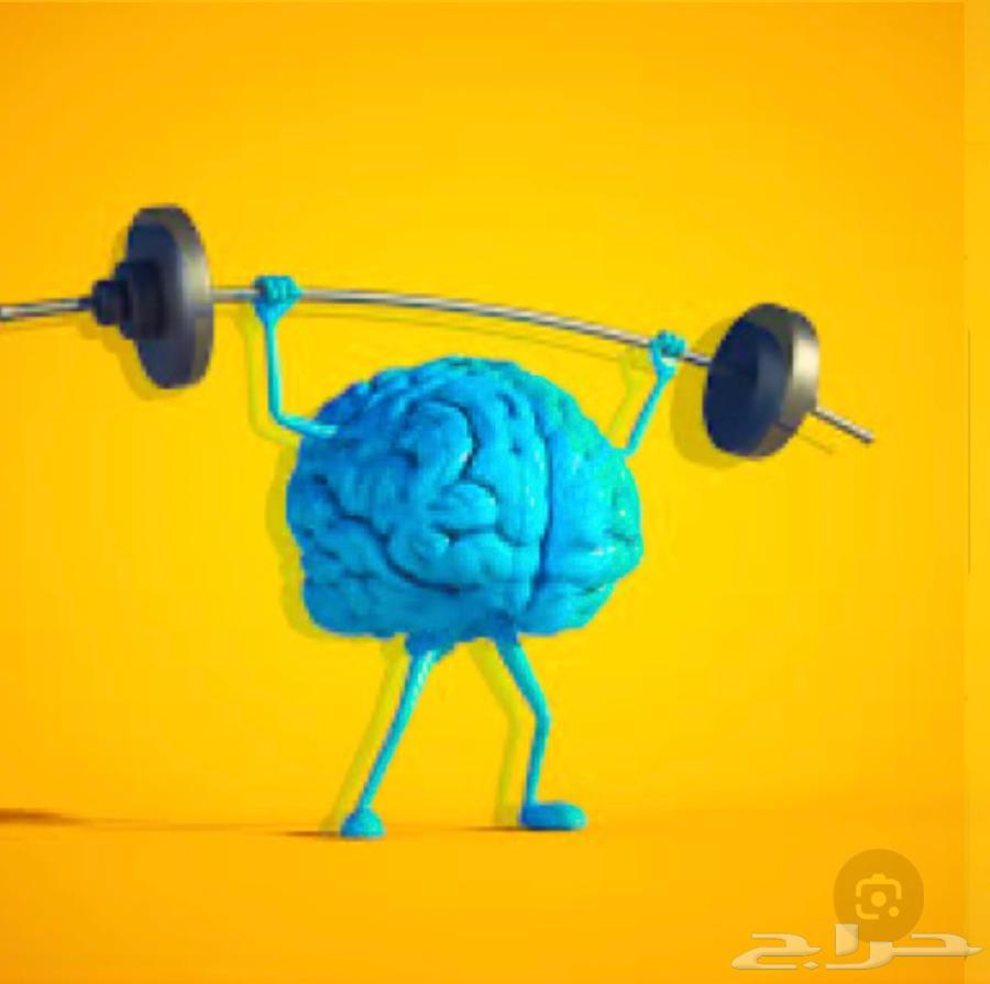 Brain Training Bag - Intelligence Exercises for Only 299 SAR64396866713986110