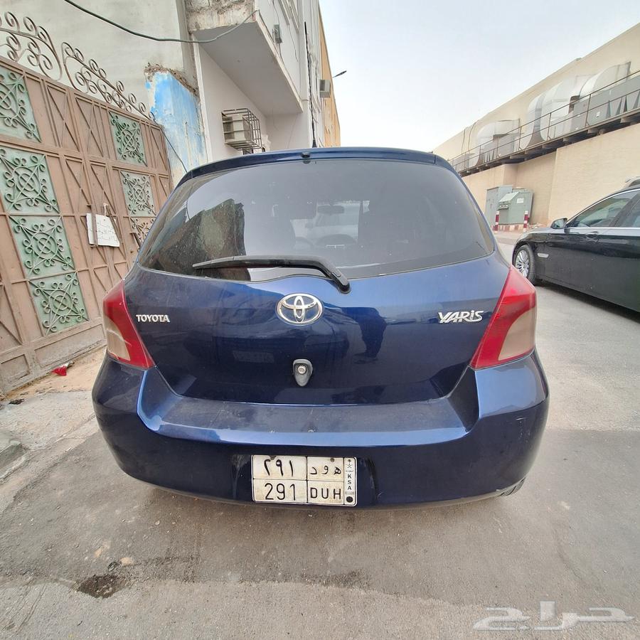 لوحة للبيع ع السوم اوراقها جاهزة للنقل64514072423425110