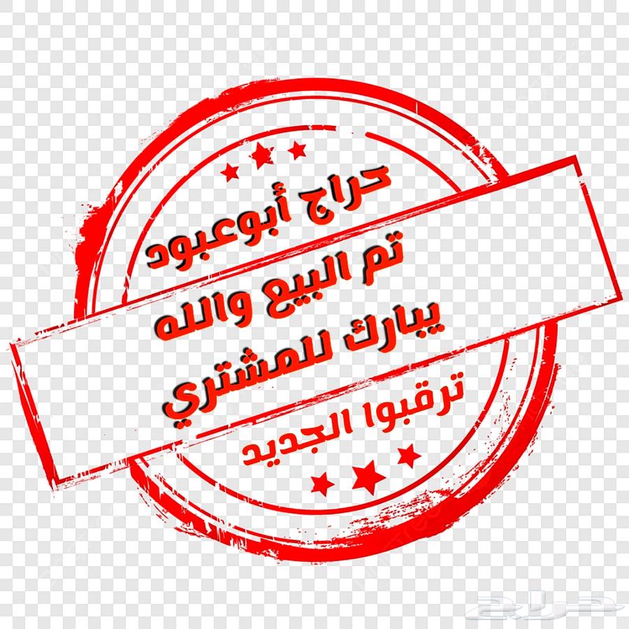 دجاج عربي اصيل64373019480194110