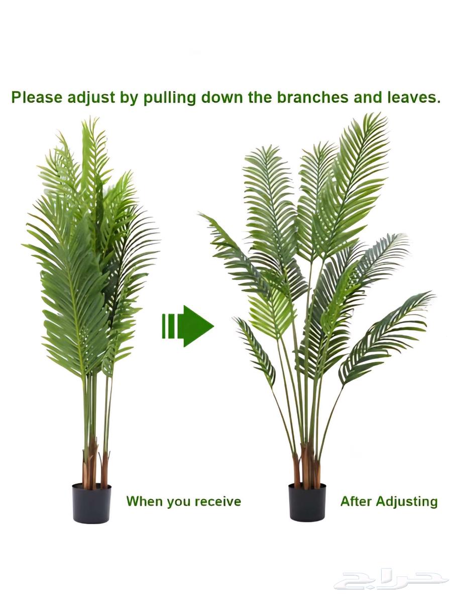 Decorative palm tree64429237177091110