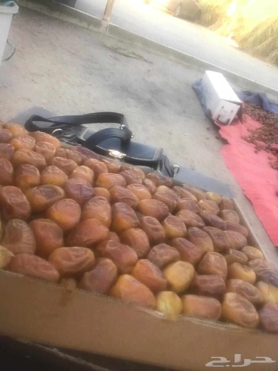 Sugar dates64404000210305111