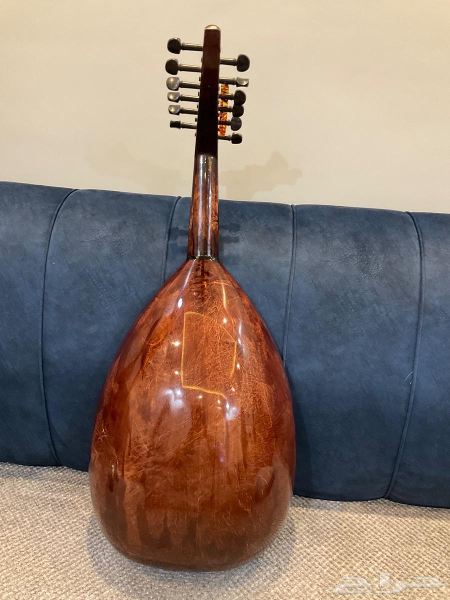 عود شبه جديد للبيع64402761890306111