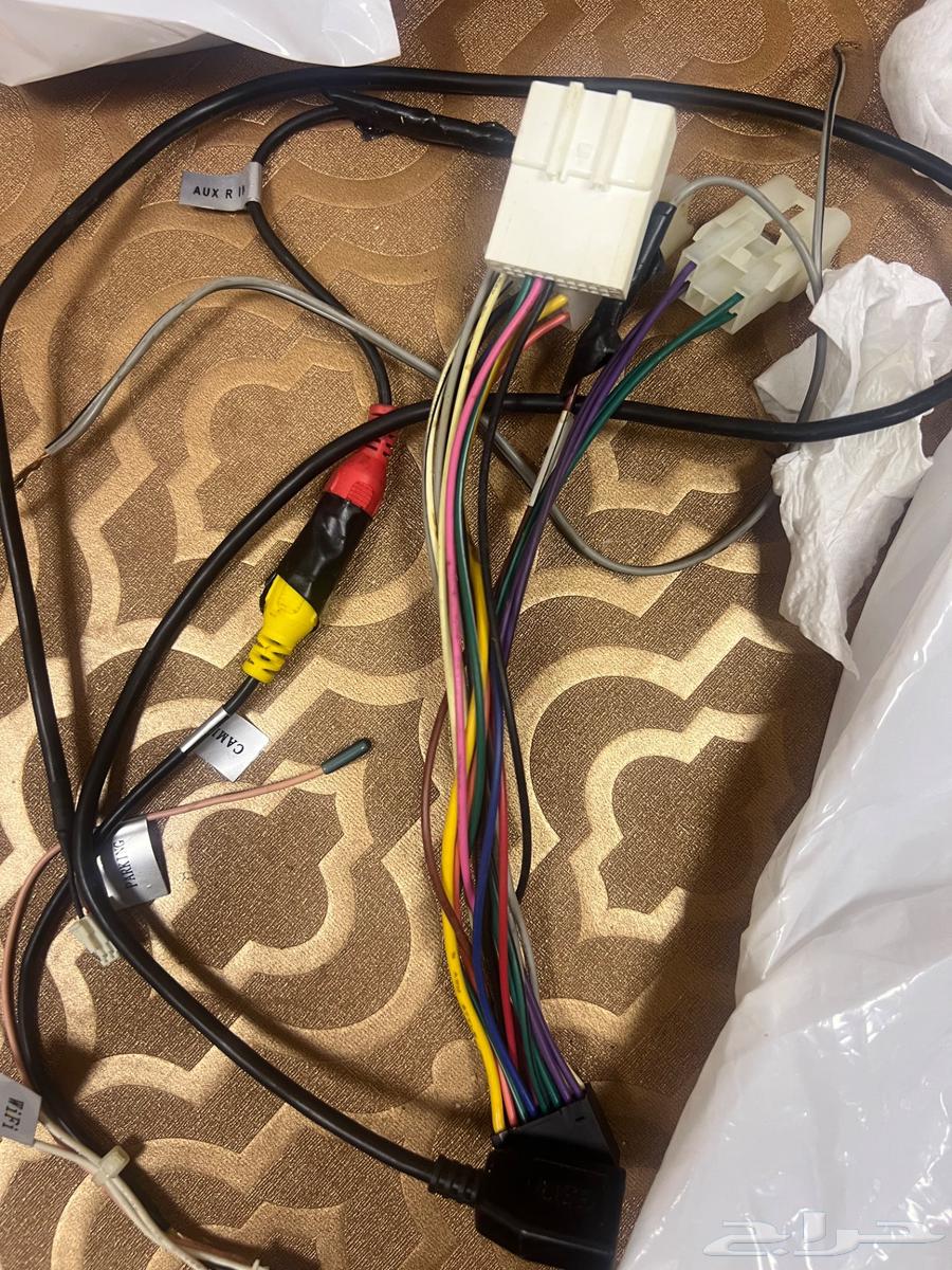 ضباء الشمال64407057381250112