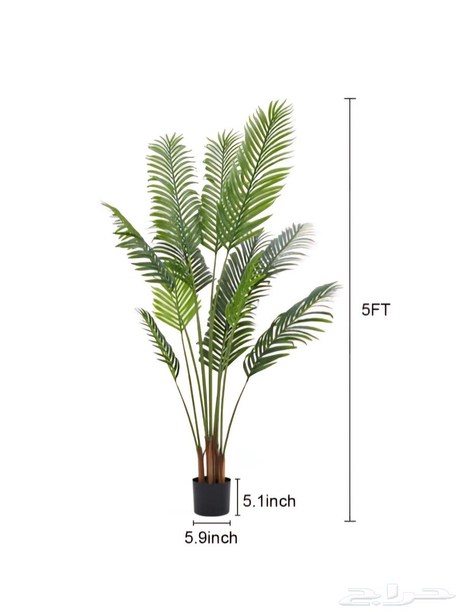 Decorative palm tree64429237177091112