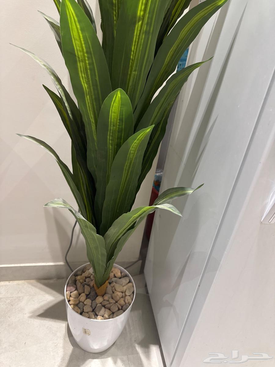 اثاث نظيف للبيع64404861500673111