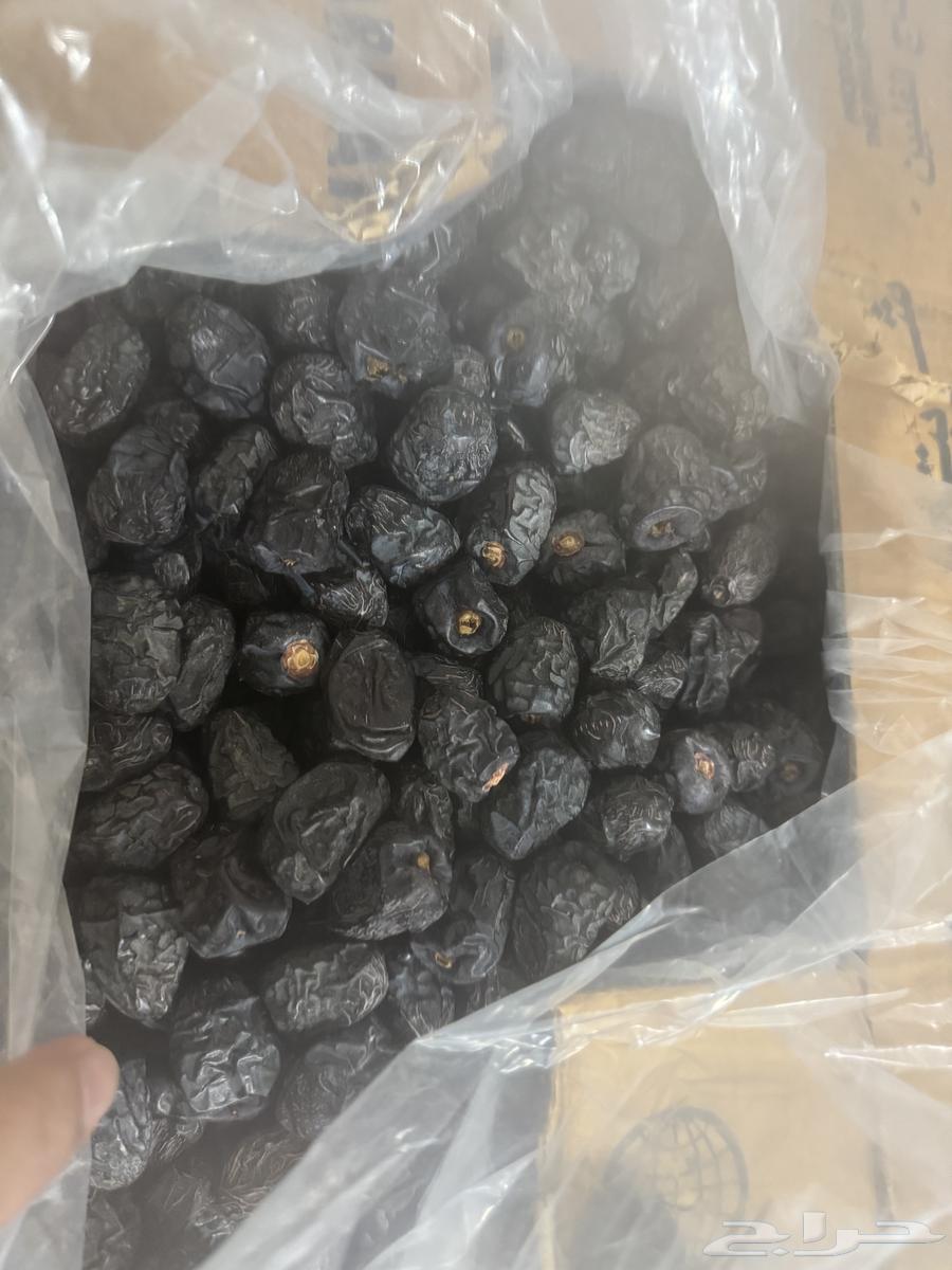 Clean Ajwa Dates63619564994177111