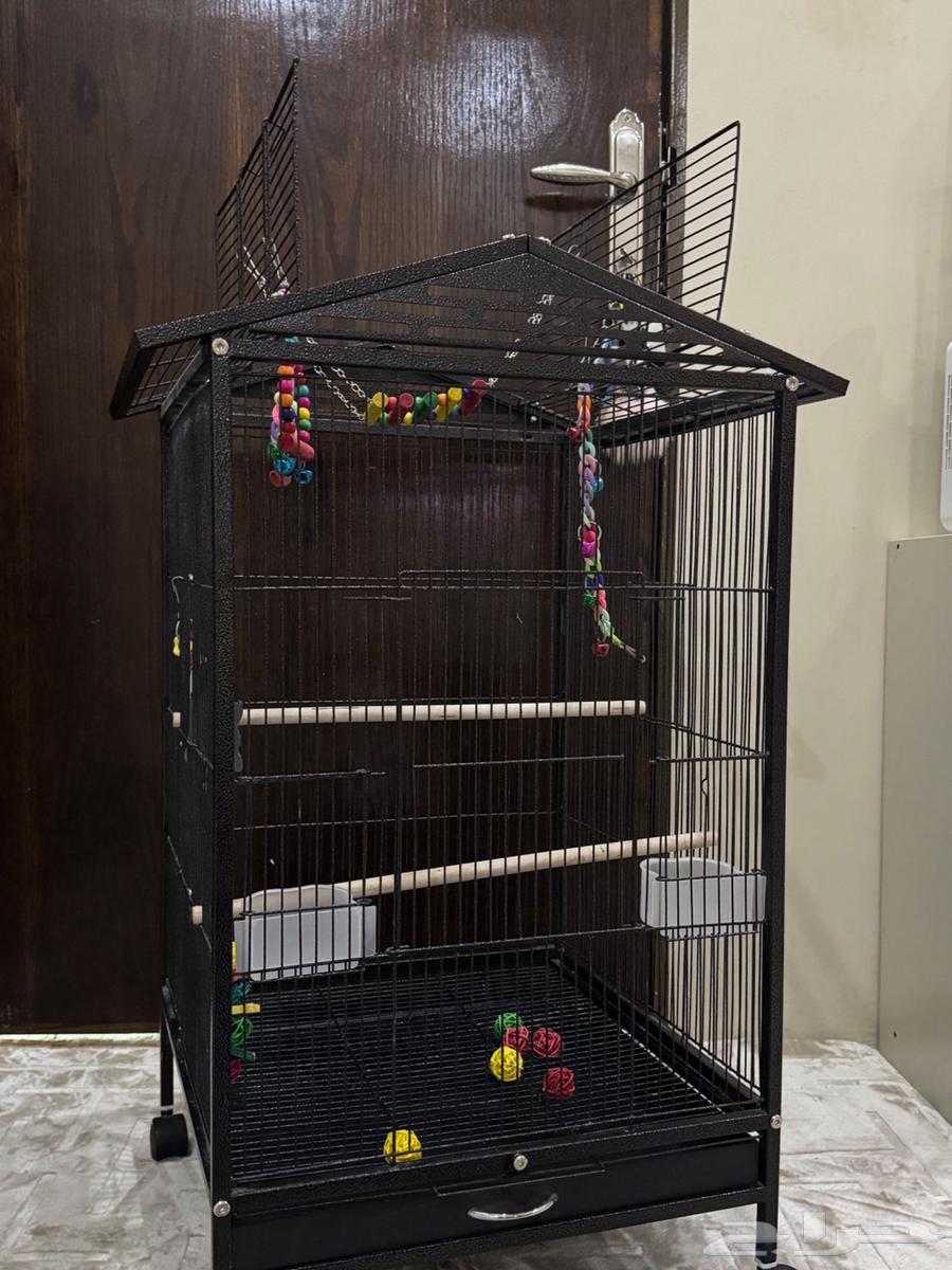 قفص لجميع انواع الببغاء الصغير والكبير64401383289346114