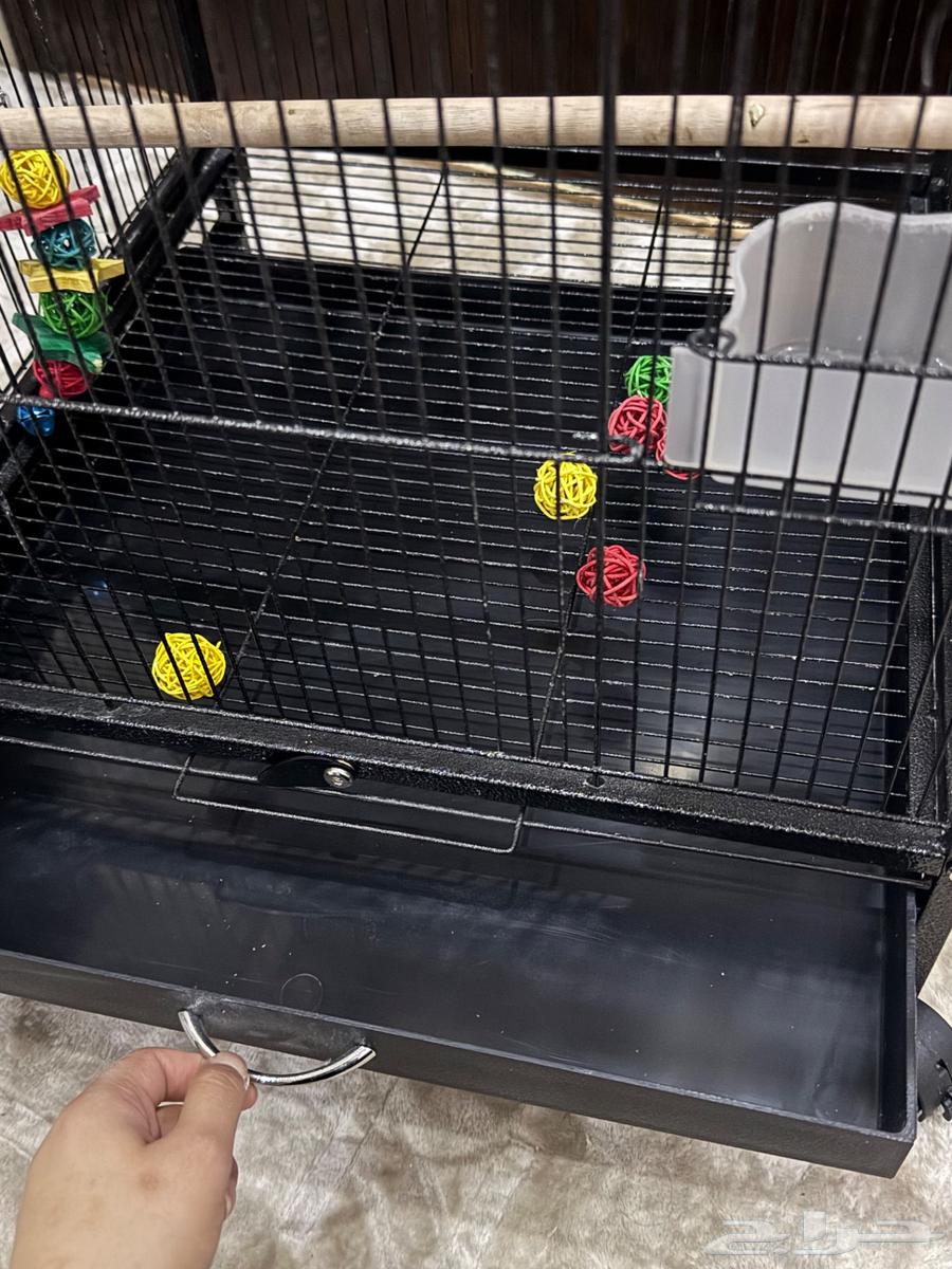 قفص لجميع انواع الببغاء الصغير والكبير64401383289346111