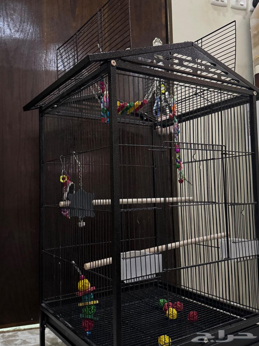 قفص لجميع انواع الببغاء الصغير والكبير64401383289346110