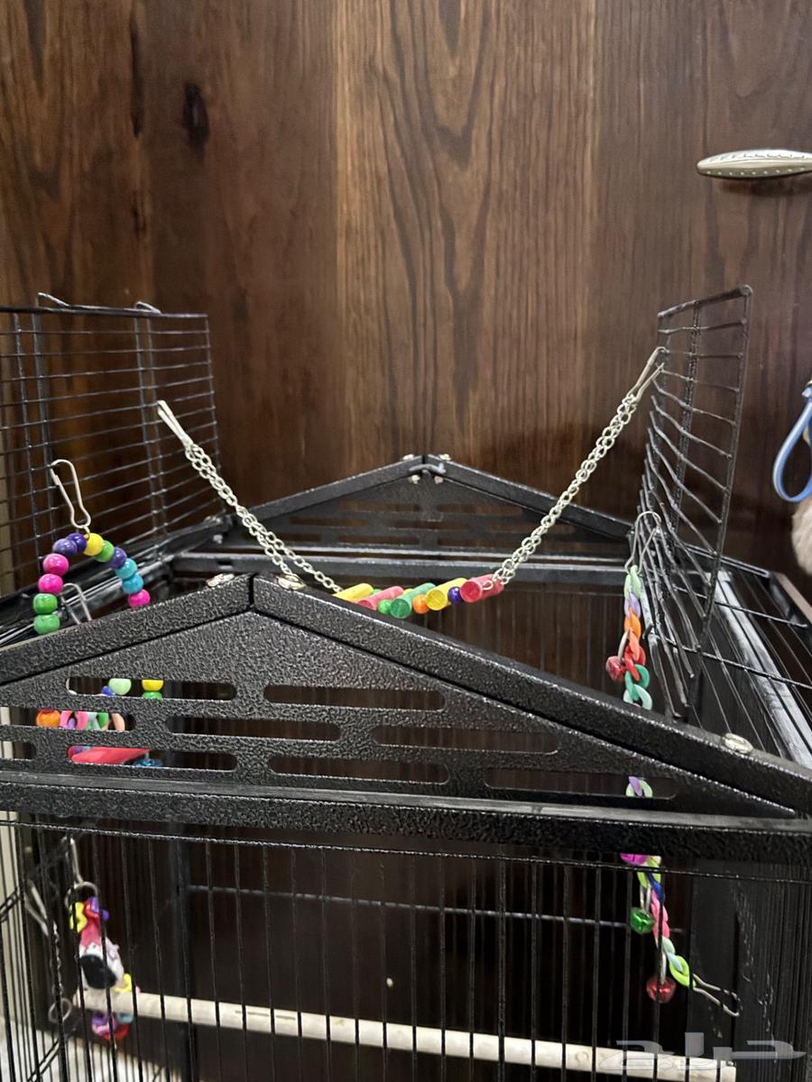 قفص لجميع انواع الببغاء الصغير والكبير64401383289346113