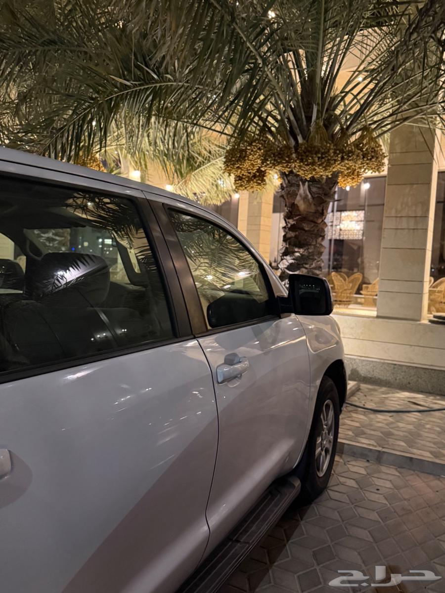 Dammam64555856785665111