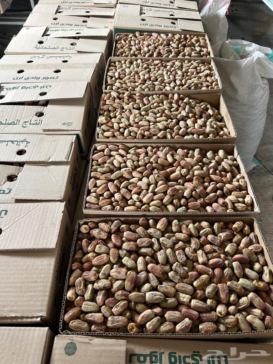 تمر متلبن للبيع64402230610689111