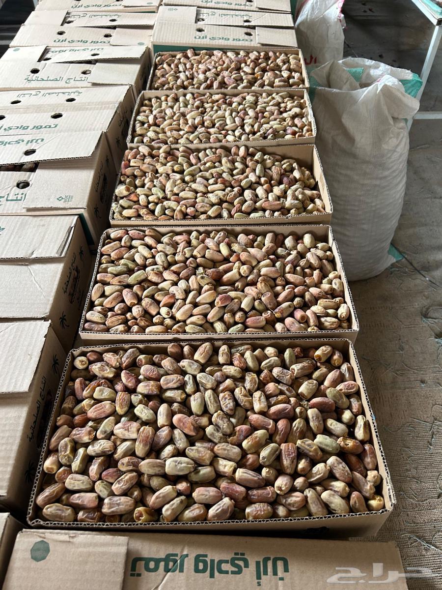 تمر متلبن للبيع64402230610689112