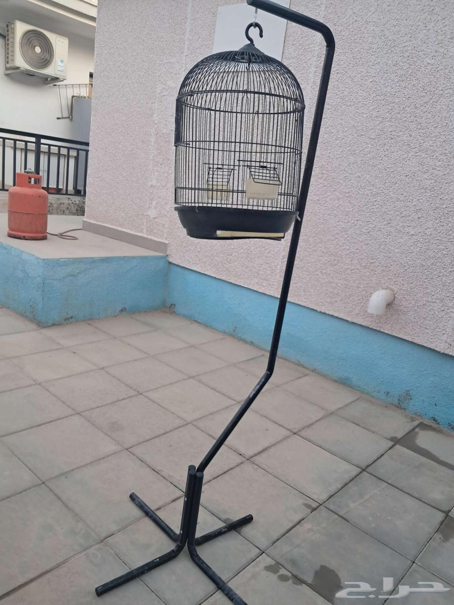 Bird cage with stand64402472818819111