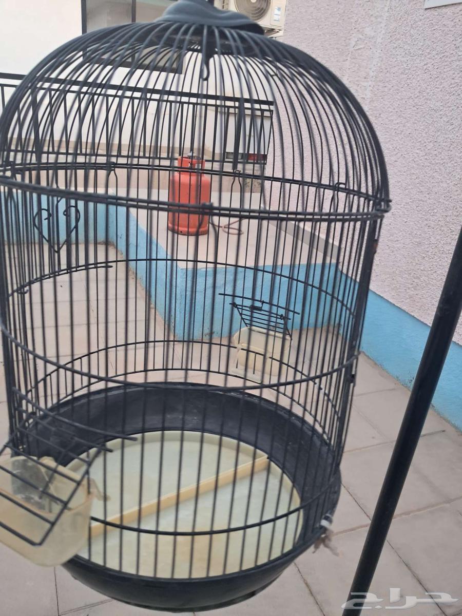 Bird cage with stand64402472818819110