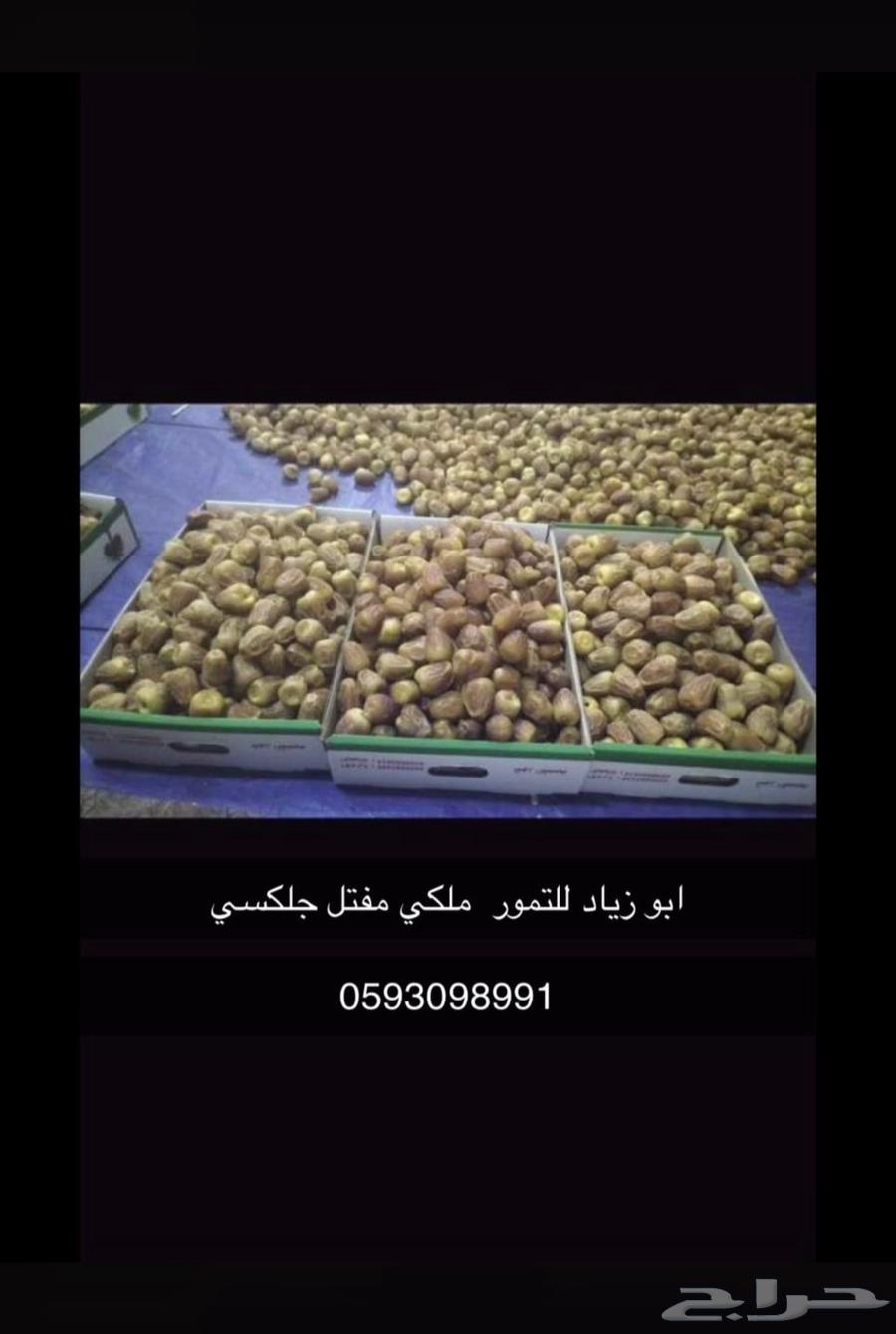 Sugar dates64404000210305110