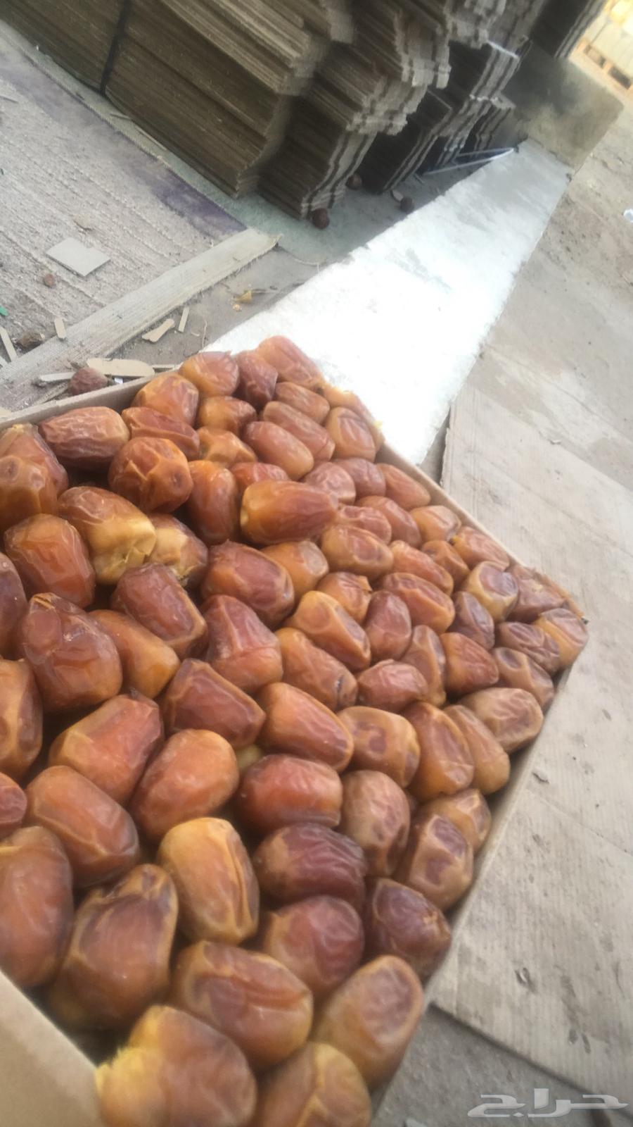 Sugar dates64404000210305113