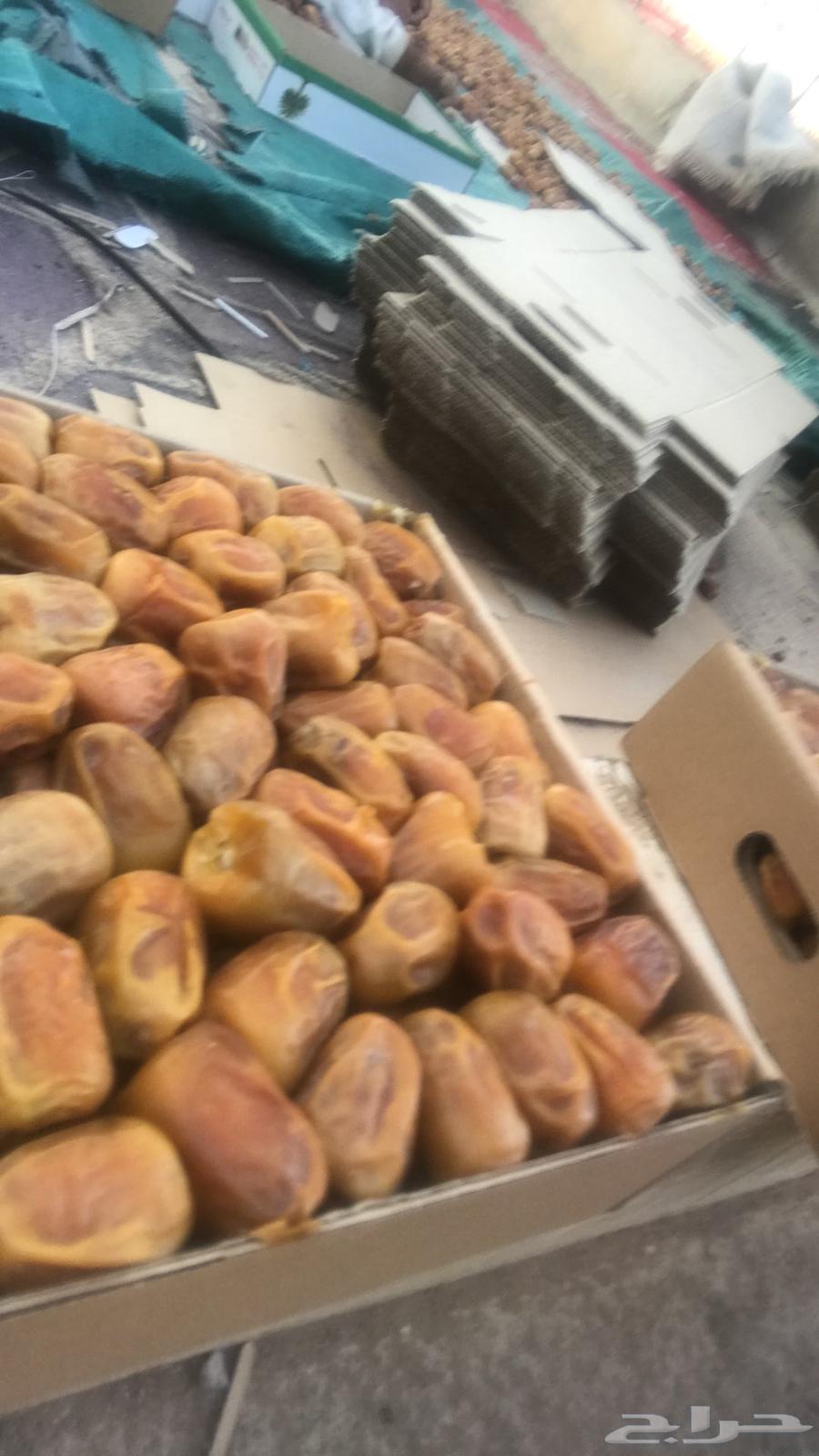 Sugar dates64404000210305112