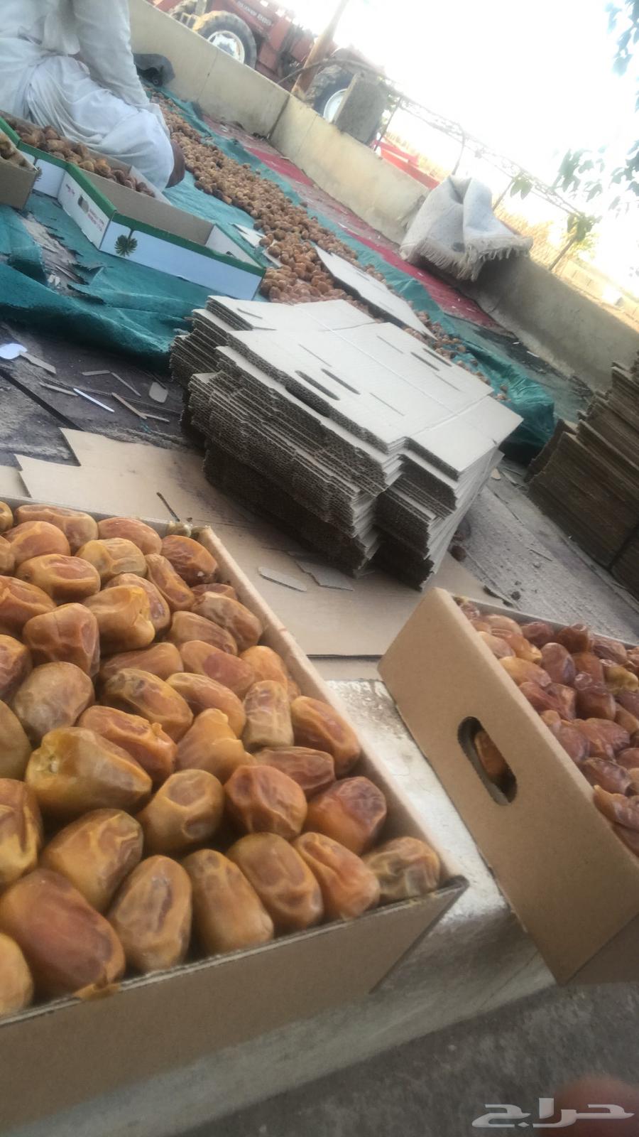 Sugar dates64404000210305114