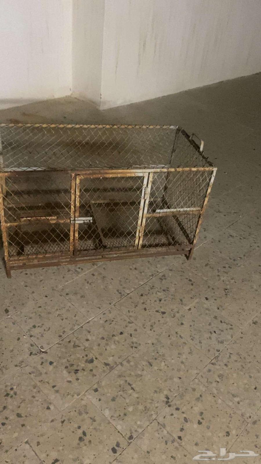 Pigeon Cages64405153228930113