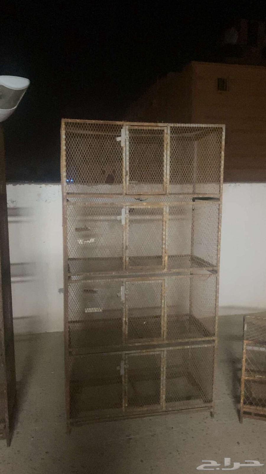 Pigeon Cages64405153228930114