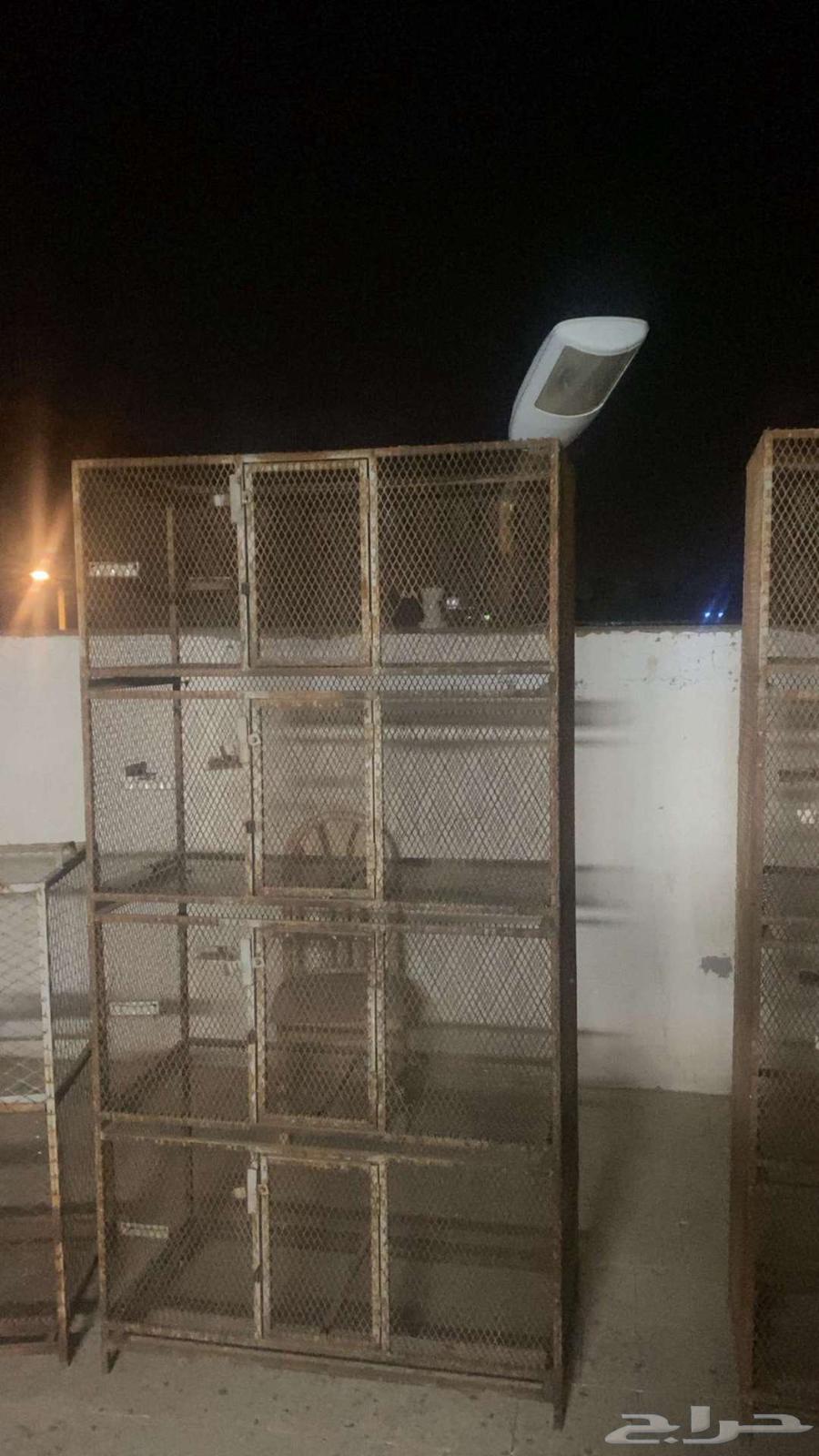 Pigeon Cages64405153228930110