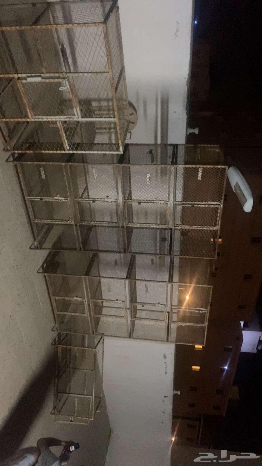 Pigeon Cages64405153228930111