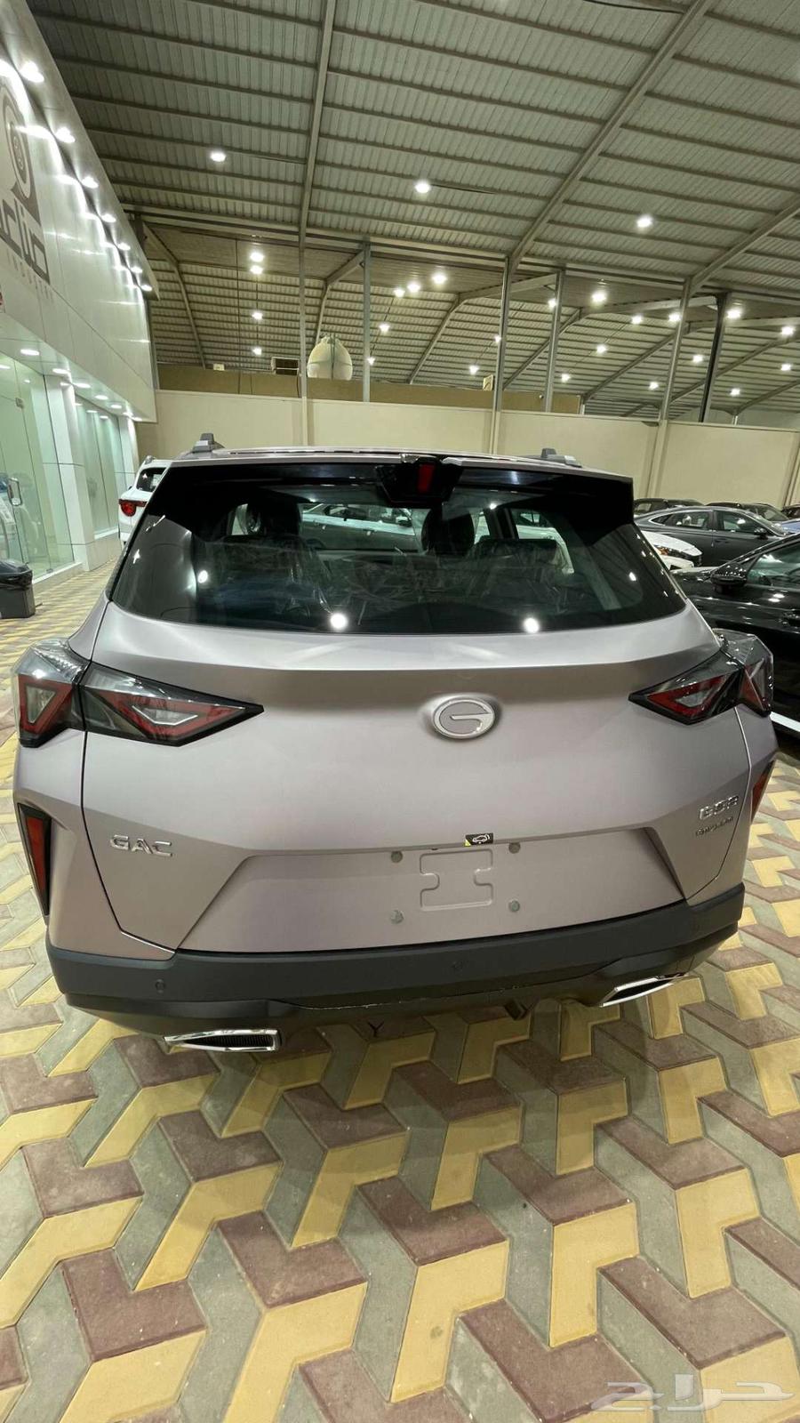 GAC EMZOOM Standard Model 202563618163857667114