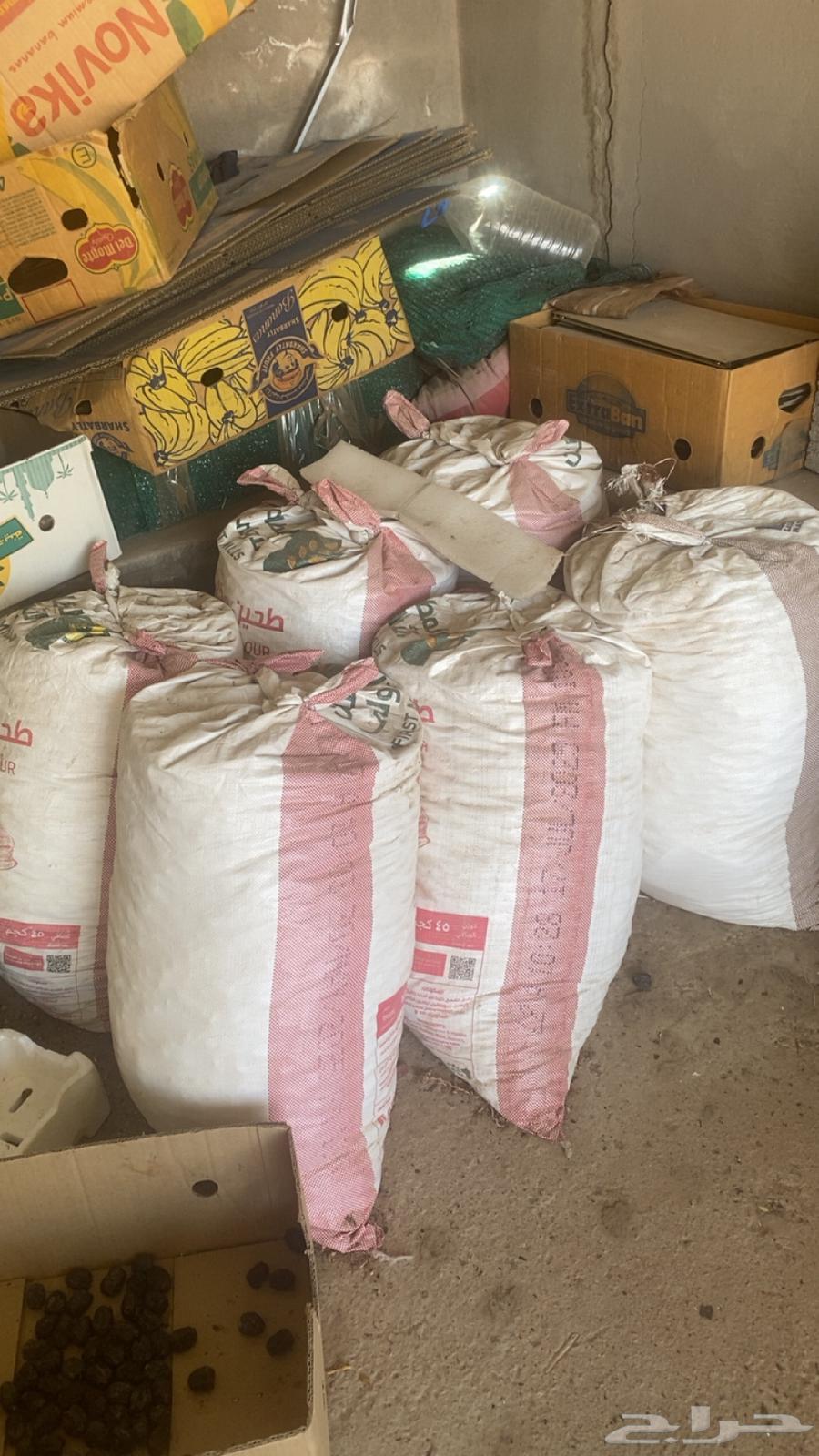 For sale dry dates for sheep63619557084418111