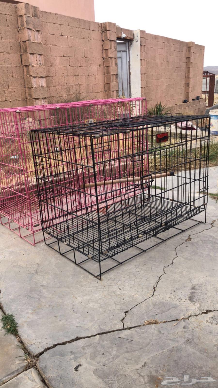 اقفاص للبيع64401327515137112