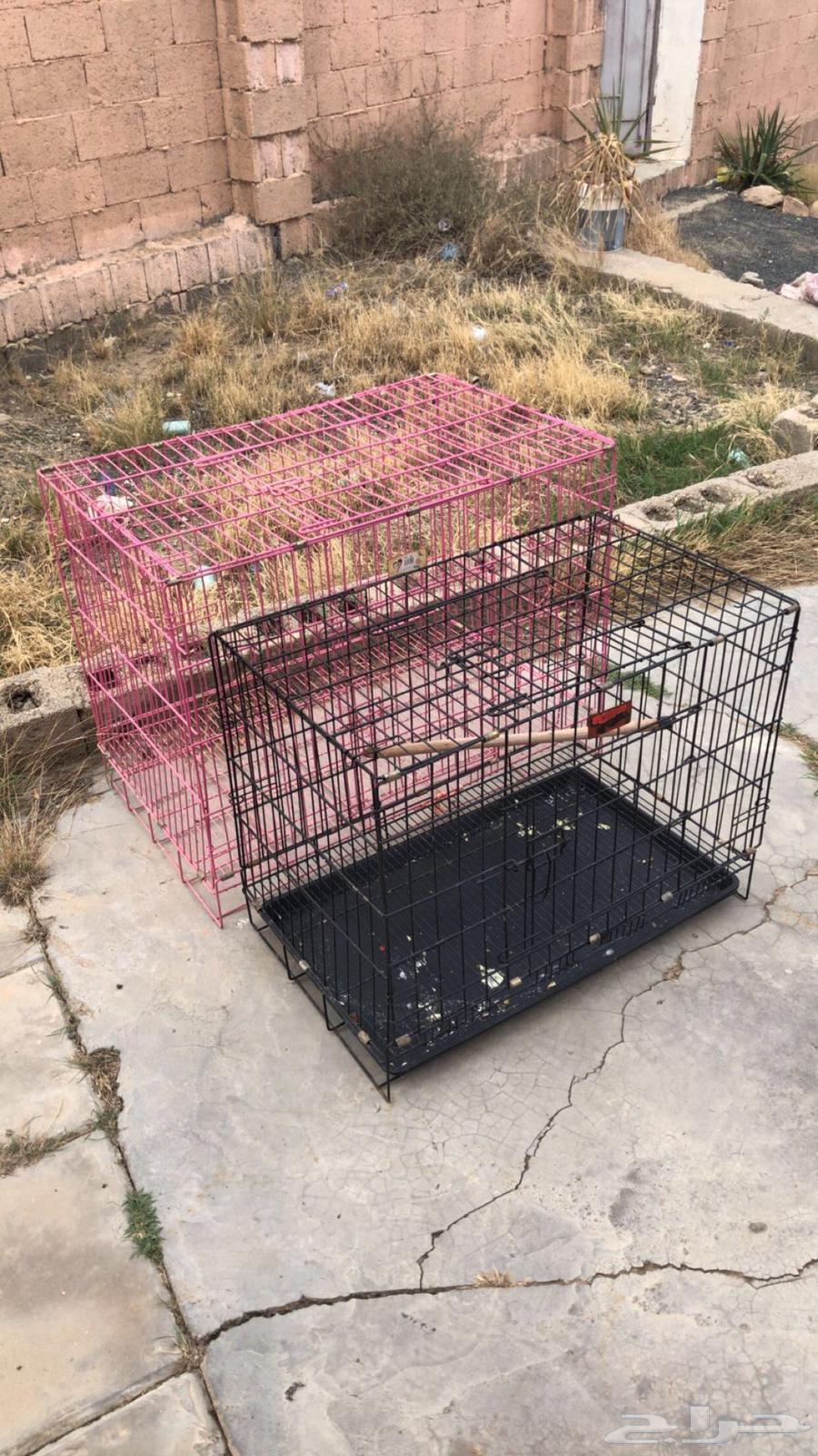 اقفاص للبيع64401327515137113