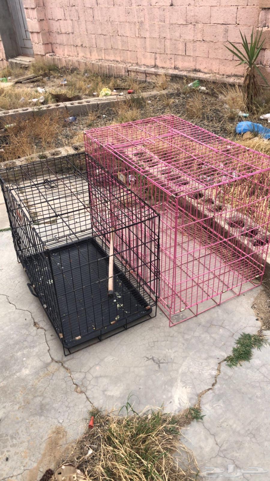 اقفاص للبيع64401327515137110