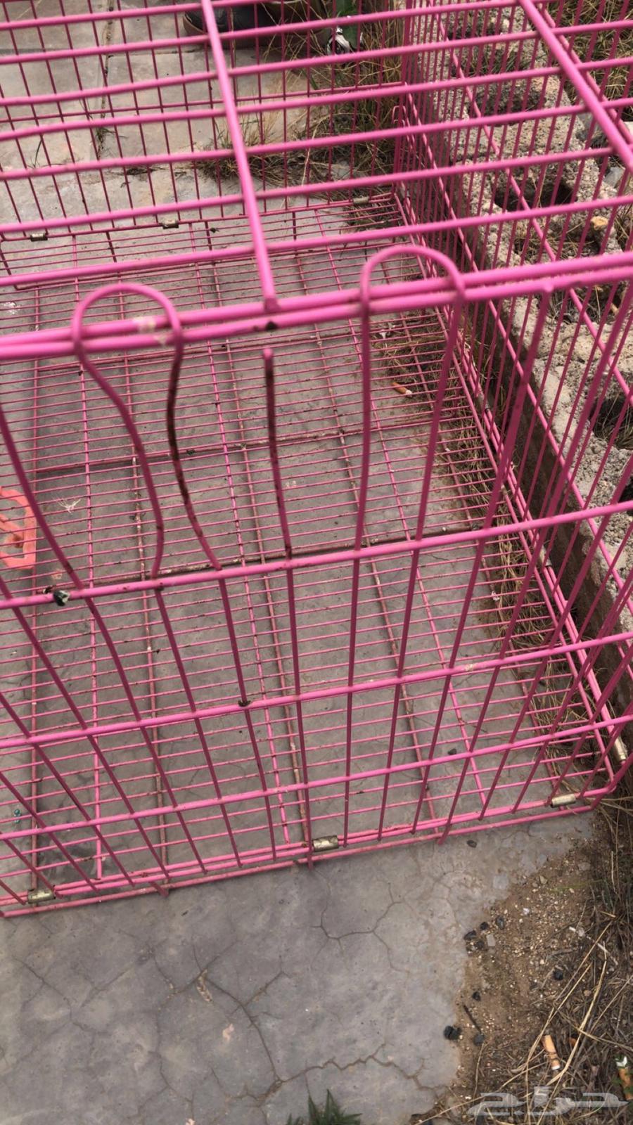 اقفاص للبيع64401327515137111