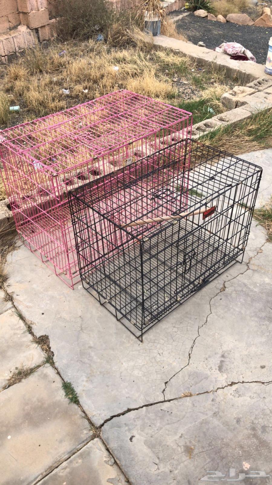 اقفاص للبيع64401327515137114