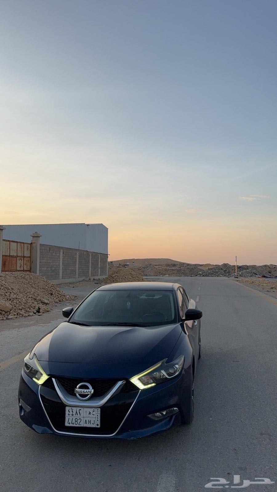 Maxima 2016 car64556651043329110