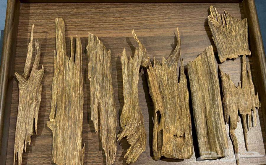 عود هندي طبيعي قطع كبيرة فاخرة64404097887618110