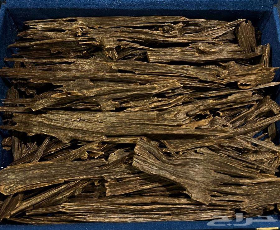 عود هندي طبيعي قطع كبيرة فاخرة64404097887618111