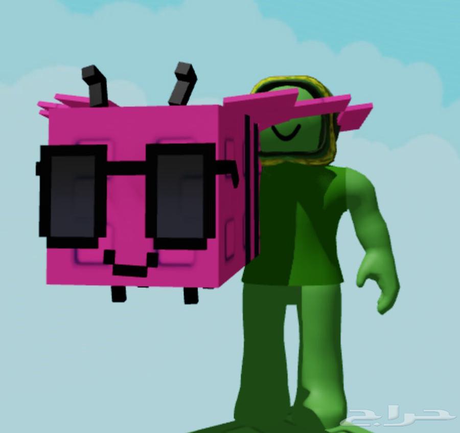 ماب المزرعة حيوانات للبيع بارخص الاسعار64403300230531111