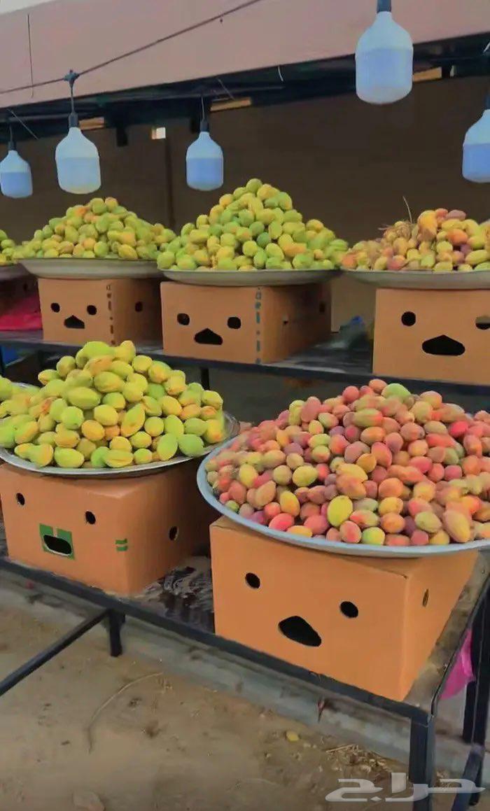 لوز شي حلو ويوجد توصيل لكل المناطق64408216501763110