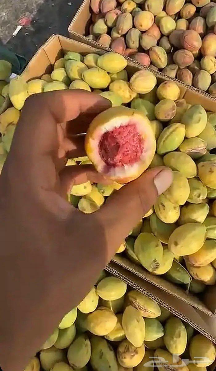 لوز شي حلو ويوجد توصيل لكل المناطق64408216501763113