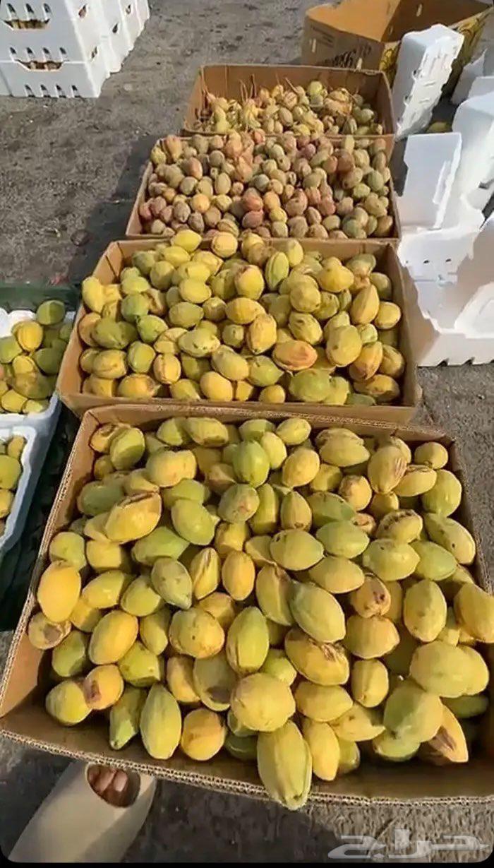 لوز شي حلو ويوجد توصيل لكل المناطق64408216501763112