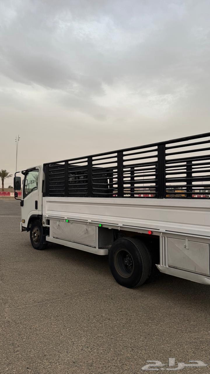 دينا ايسوزو64565661216001113