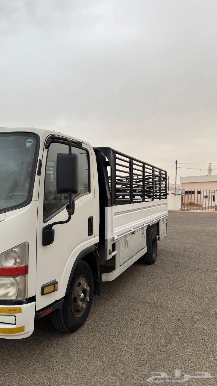 دينا ايسوزو64565661216001111