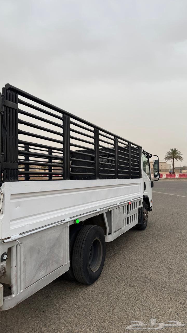 دينا ايسوزو64565661216001112